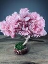 A Small Tree in the East - Sakura (Preserved Plants)