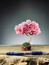 A Small Tree in the East - Sakura (Preserved Plants)