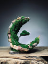 Half-Moon Bay - Crescent (Preserved Plants)