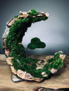 Half-Moon Bay - Crescent (Preserved Plants)