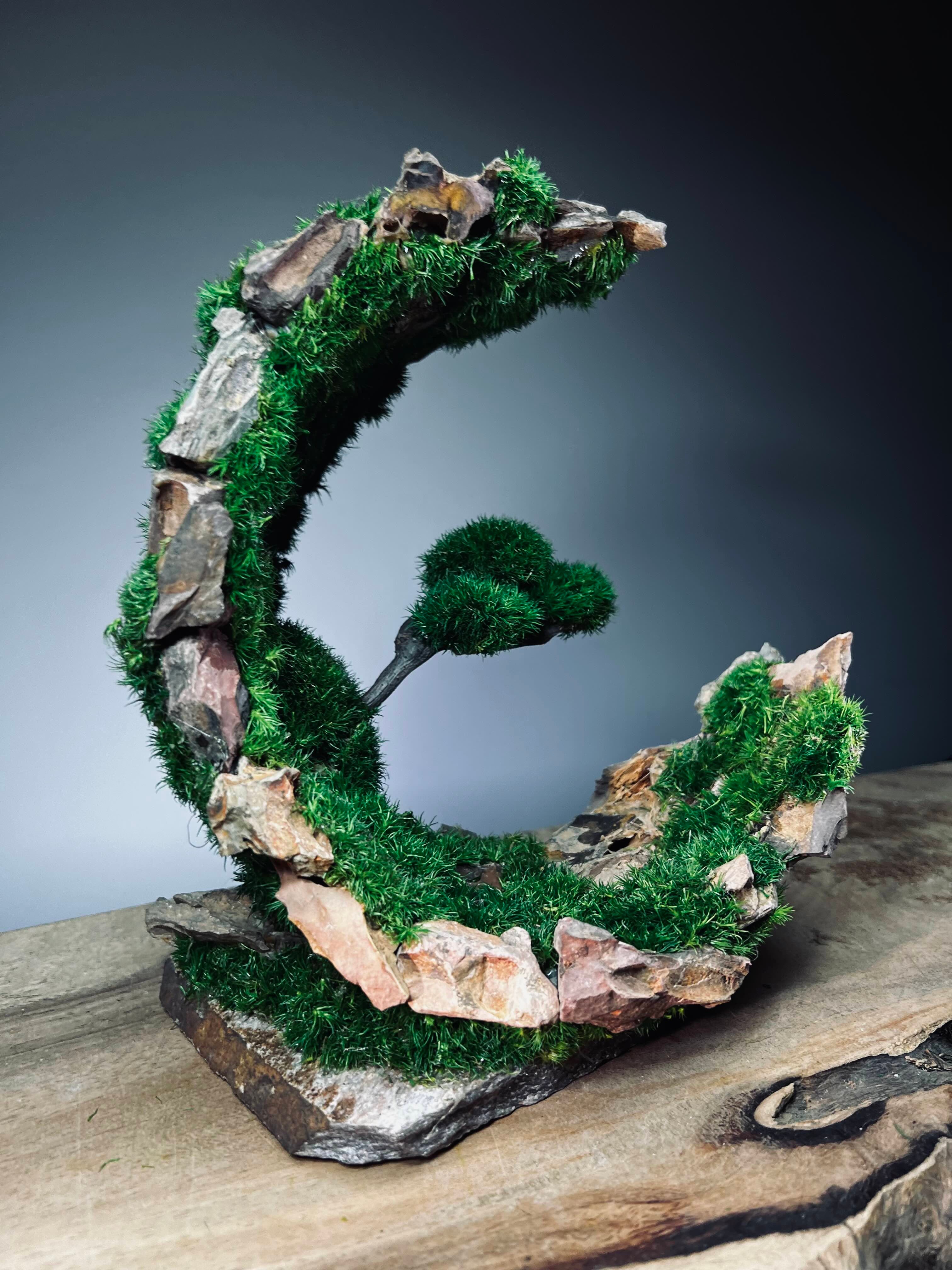 Half-Moon Bay - Crescent (Preserved Plants)
