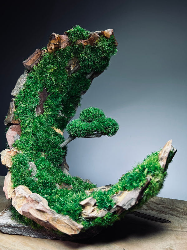 Half-Moon Bay - Crescent (Preserved Plants)