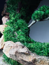 Half-Moon Bay - Crescent (Preserved Plants)