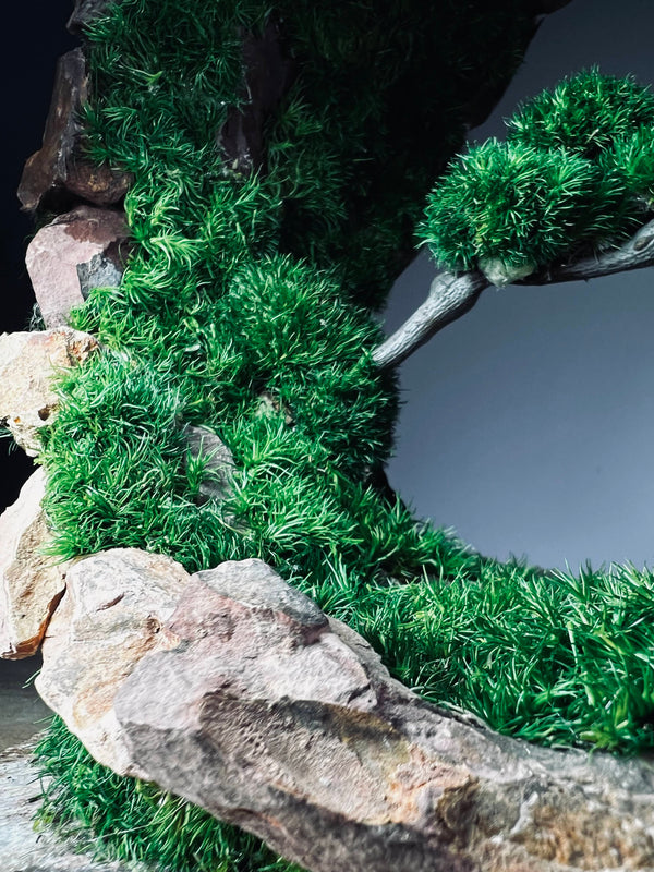 Half-Moon Bay - Crescent (Preserved Plants)