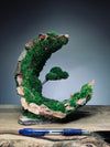 Half-Moon Bay - Crescent (Preserved Plants)