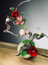 Children of the Forest - Grace (Preserved Plants)