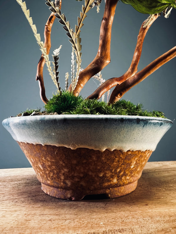 Children of the Forest - Large version (Preserved Plants)