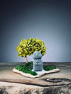 A Small Tree in the East - Sakura - Early Spring - Journeyman (Preserved Plants)