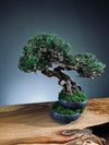 Rise - Cultured Garden (Preserved Plants)