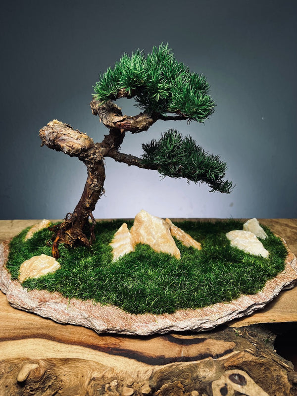 Clearwater Bay - Juniper (Preserved Plants)