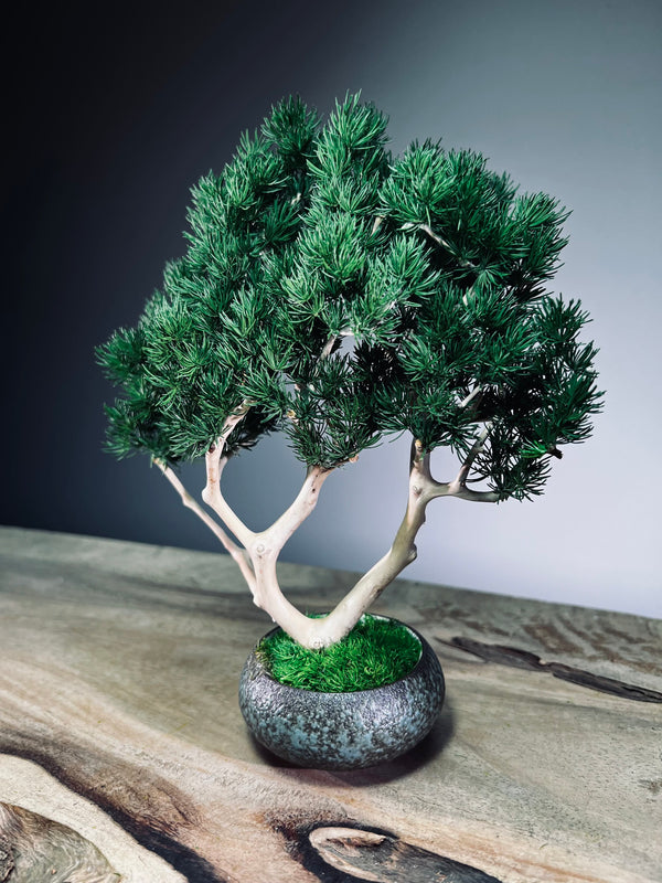 Jade - Pine Needle edition (Preserved Plants)
