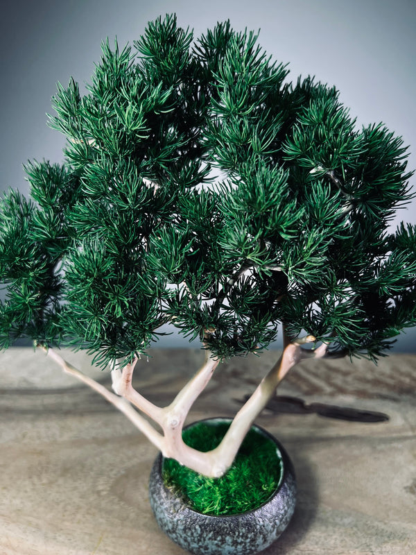 Jade - Pine Needle edition (Preserved Plants)