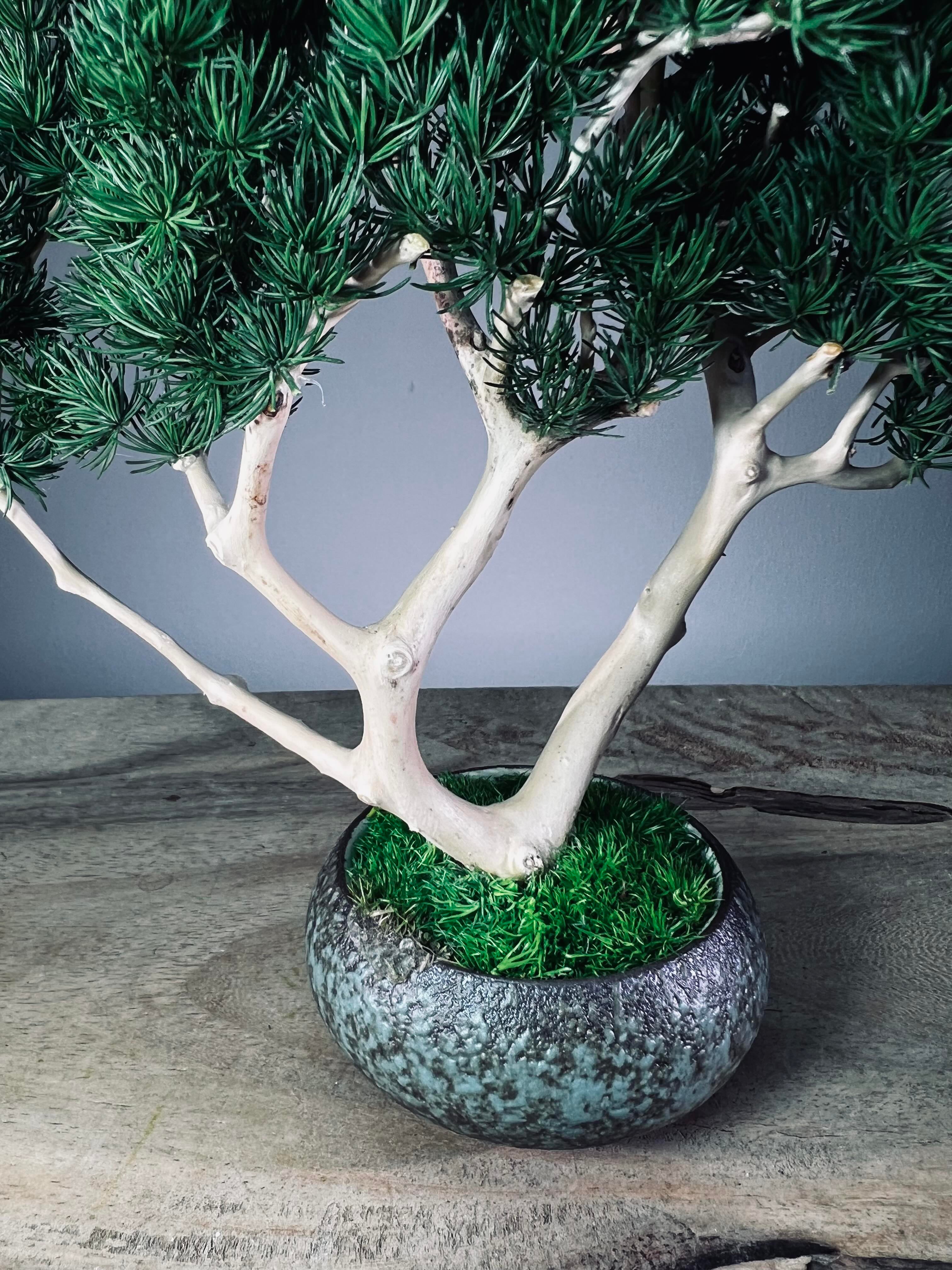 Jade - Pine Needle edition (Preserved Plants)
