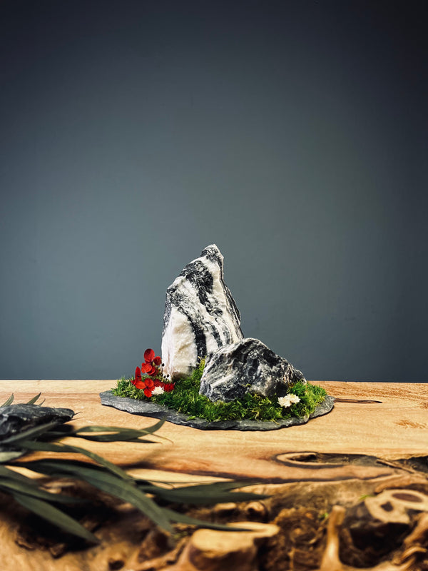 Snow Peaks (Preserved Plants)