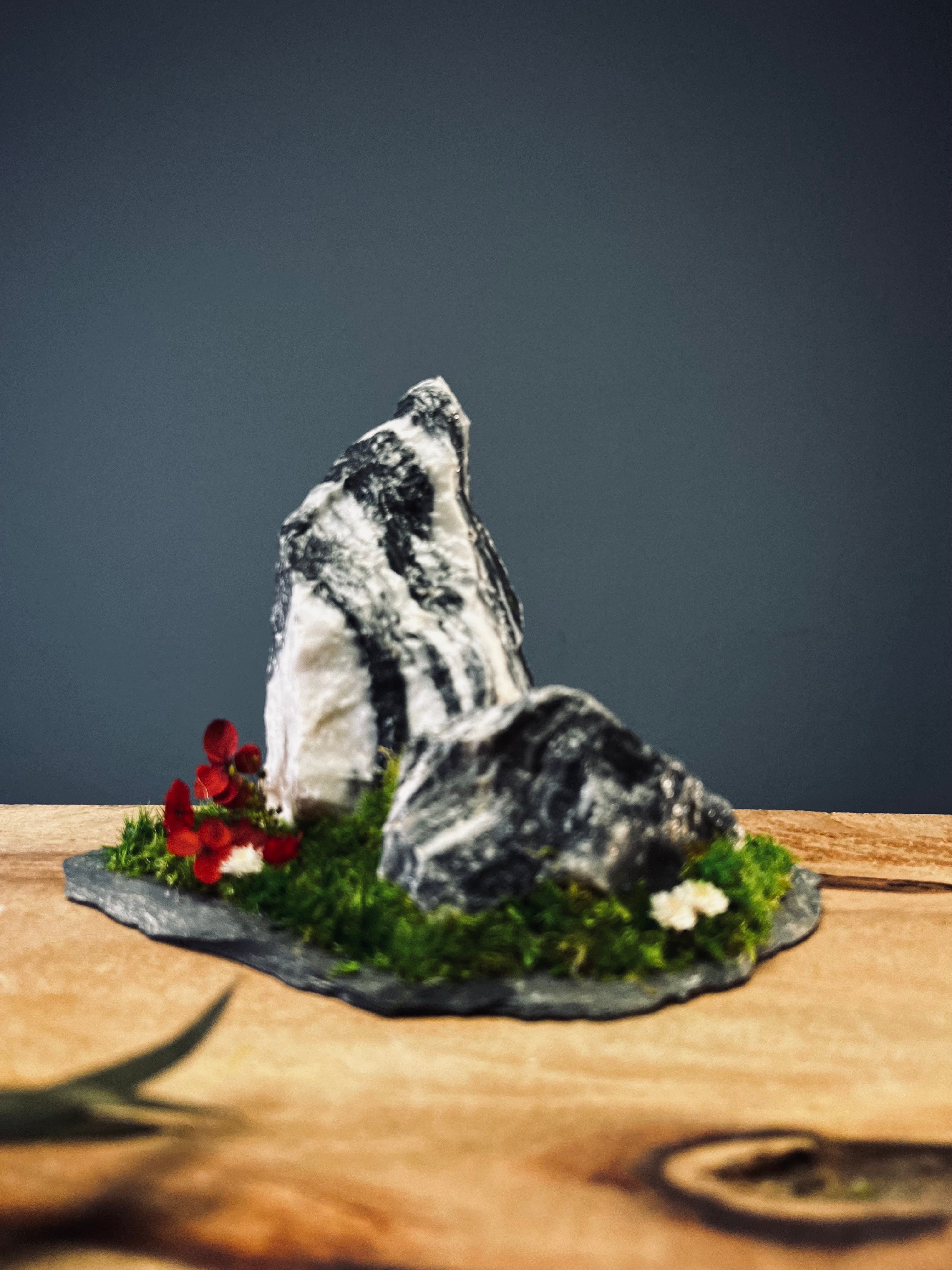 Snow Peaks (Preserved Plants)