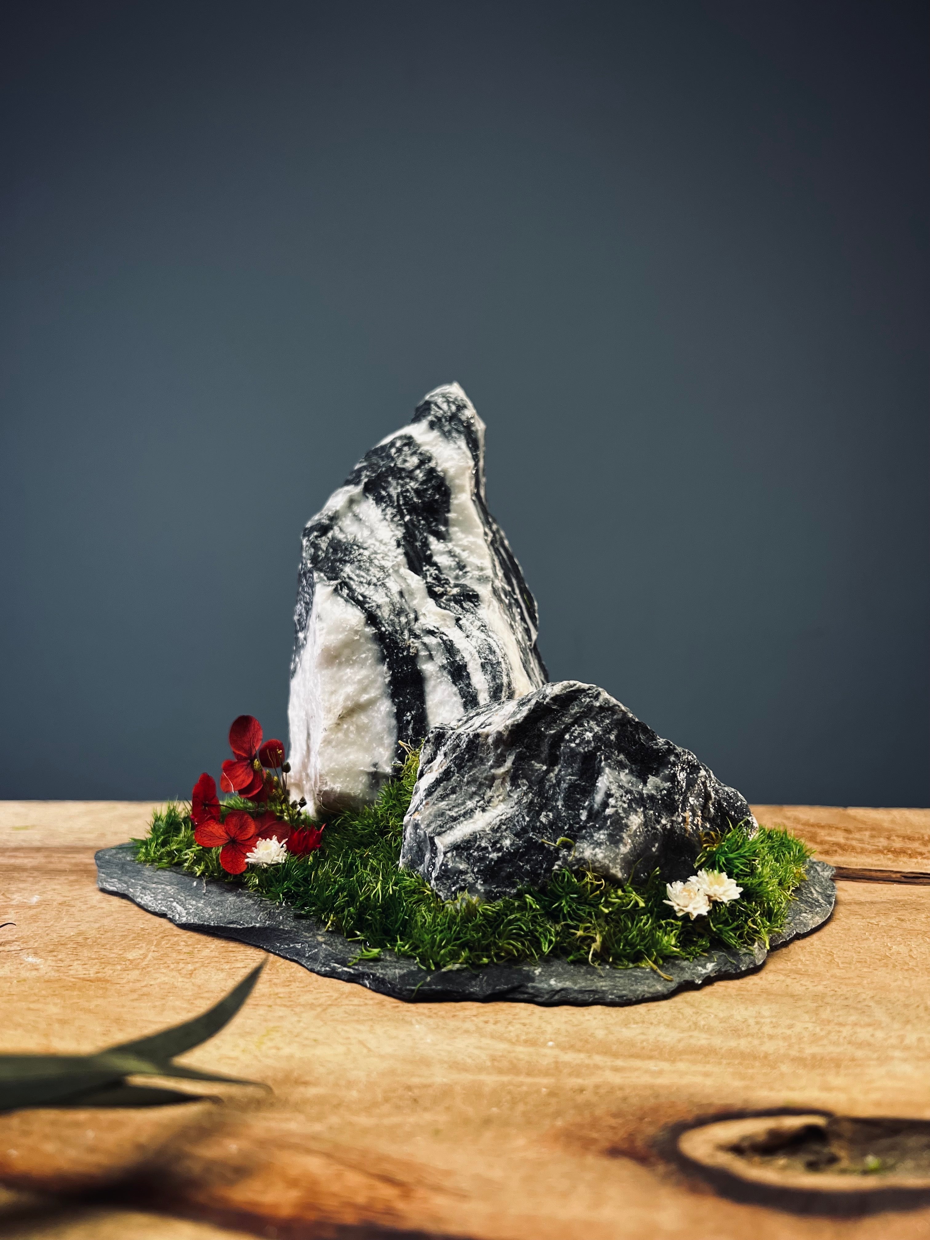 Snow Peaks (Preserved Plants)