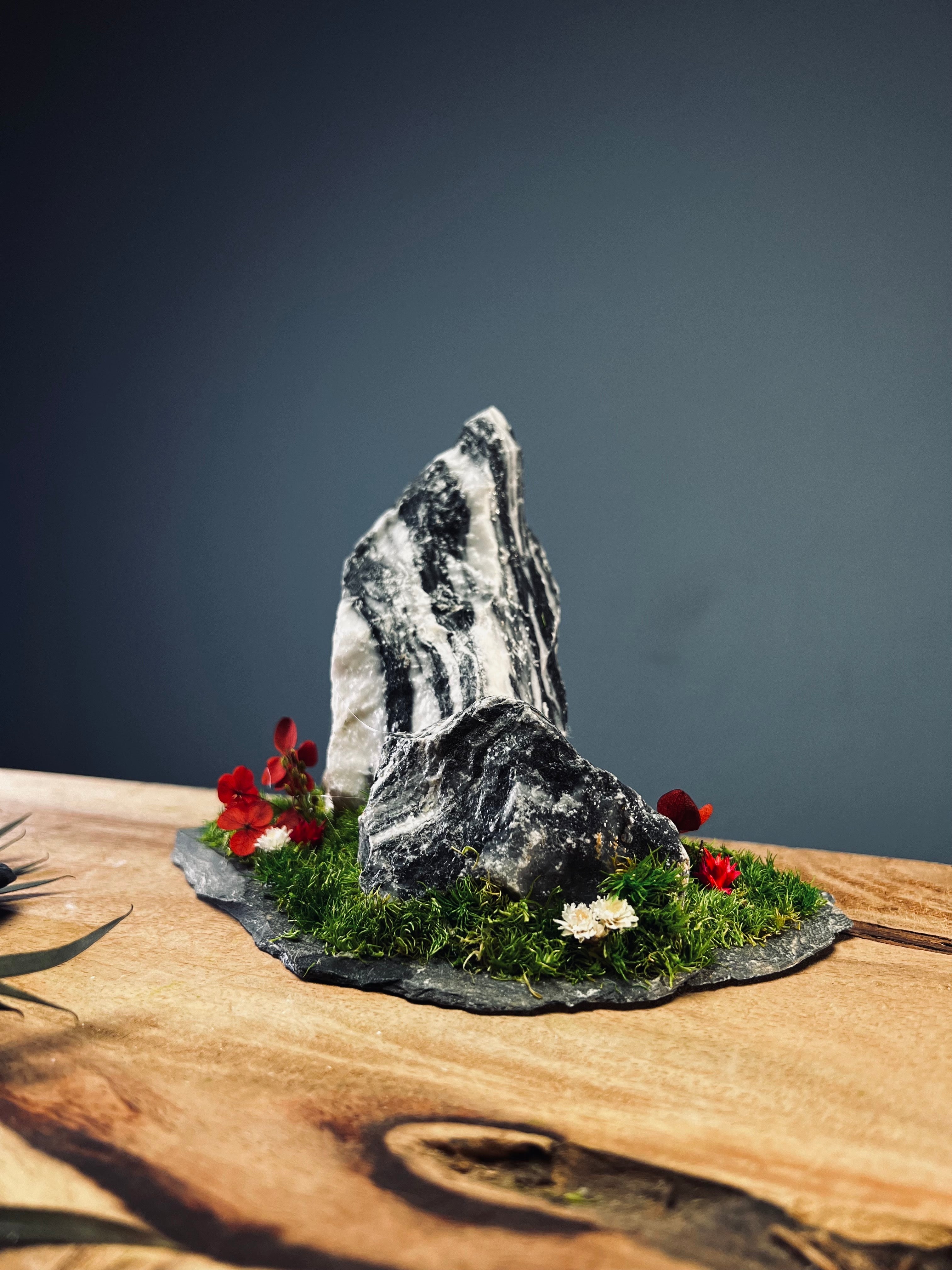 Snow Peaks (Preserved Plants)