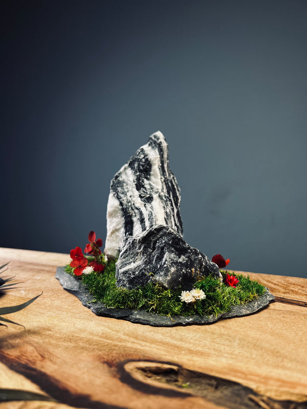 Snow Peaks (Preserved Plants)