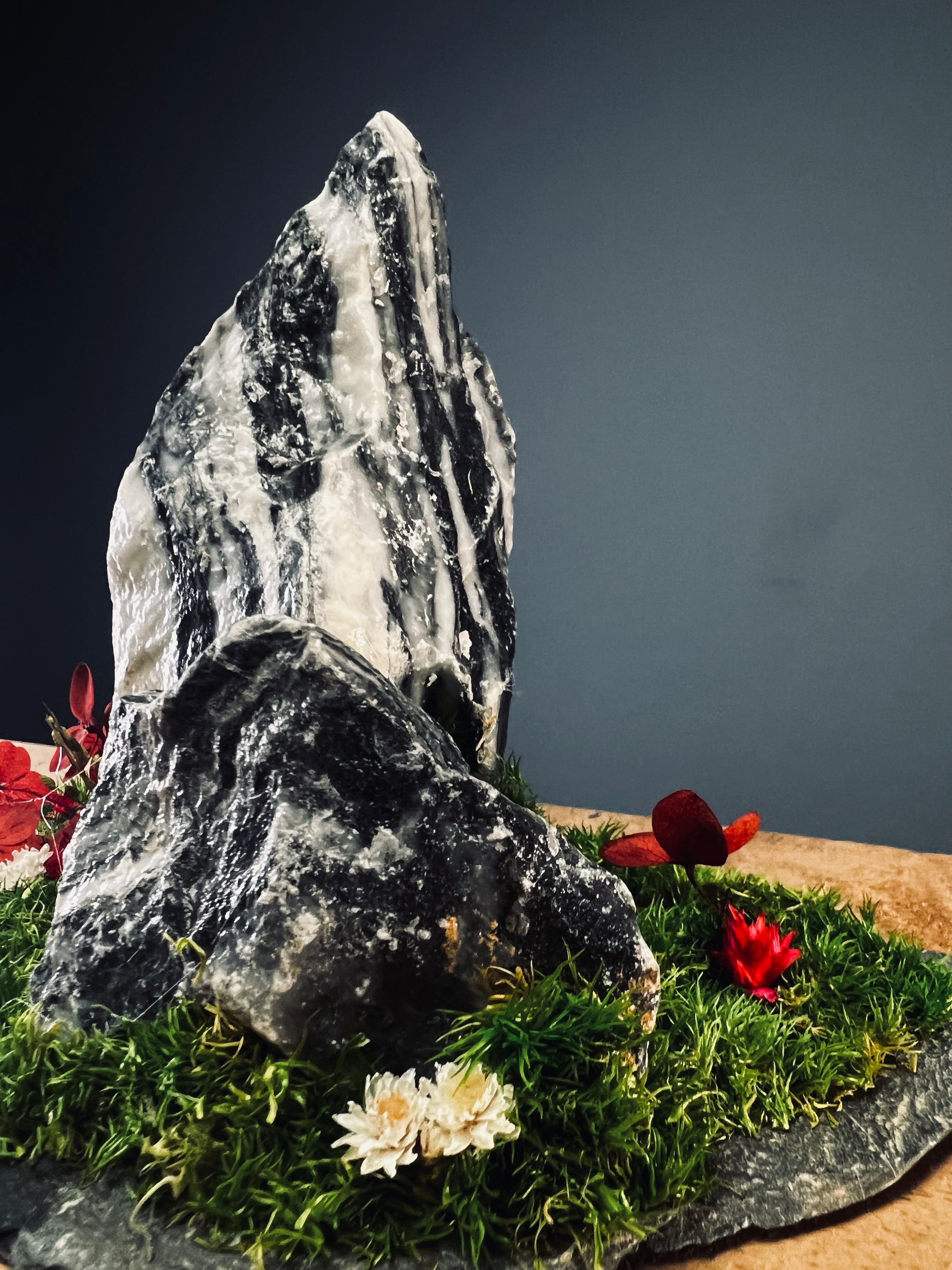 Snow Peaks (Preserved Plants)