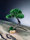A Small Tree in the East - Classics - Rosewood edition (Preserved Plants)