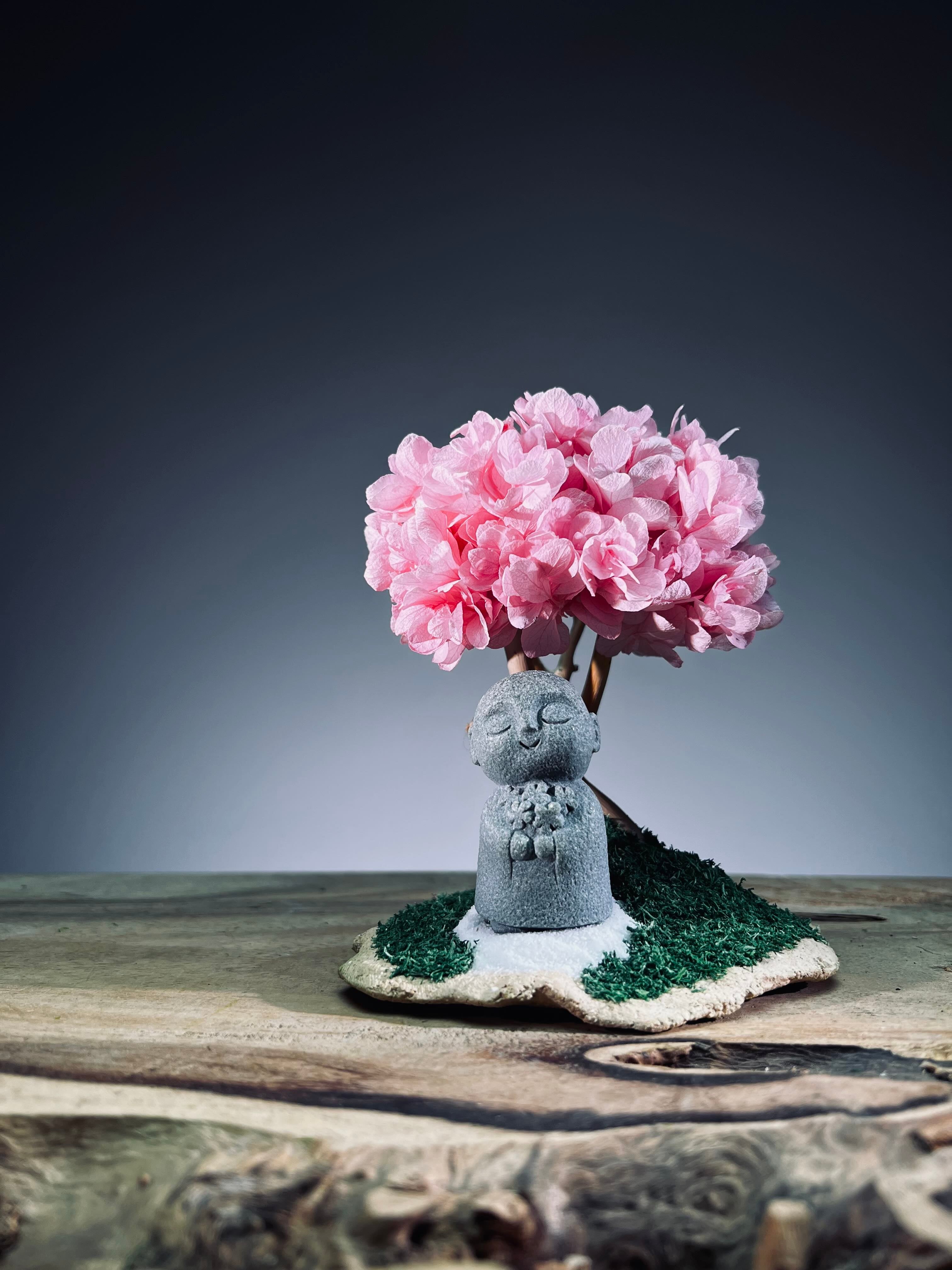 A Small Tree in the East - Sakura - Journeyman (Preserved Plants)