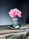 A Small Tree in the East - Sakura - Journeyman (Preserved Plants)