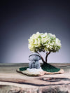 A Small Tree in the East - Sakura - Early Spring - Journeyman (Preserved Plants)