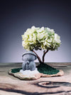 A Small Tree in the East - Sakura - Early Spring - Journeyman (Preserved Plants)