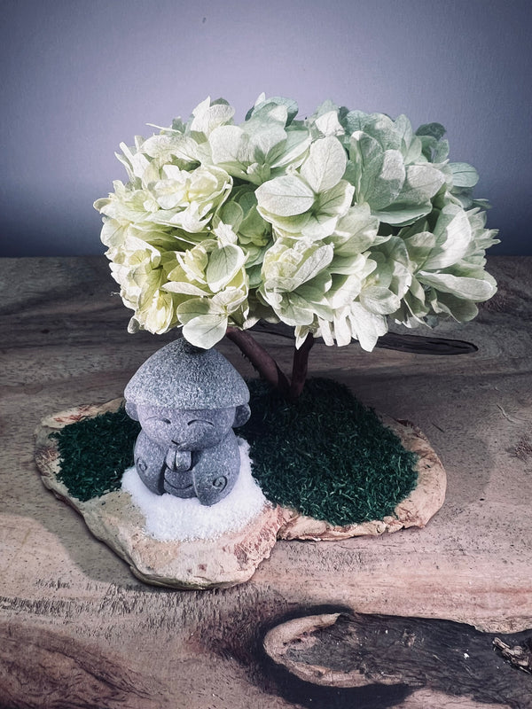 A Small Tree in the East - Sakura - Early Spring - Journeyman (Preserved Plants)
