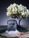 A Small Tree in the East - Sakura - Early Spring - Journeyman (Preserved Plants)