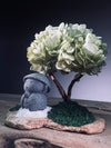 A Small Tree in the East - Sakura - Early Spring - Journeyman (Preserved Plants)