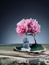 A Small Tree in the East - Sakura - Journeyman (Preserved Plants)