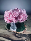 A Small Tree in the East - Sakura - Journeyman (Preserved Plants)