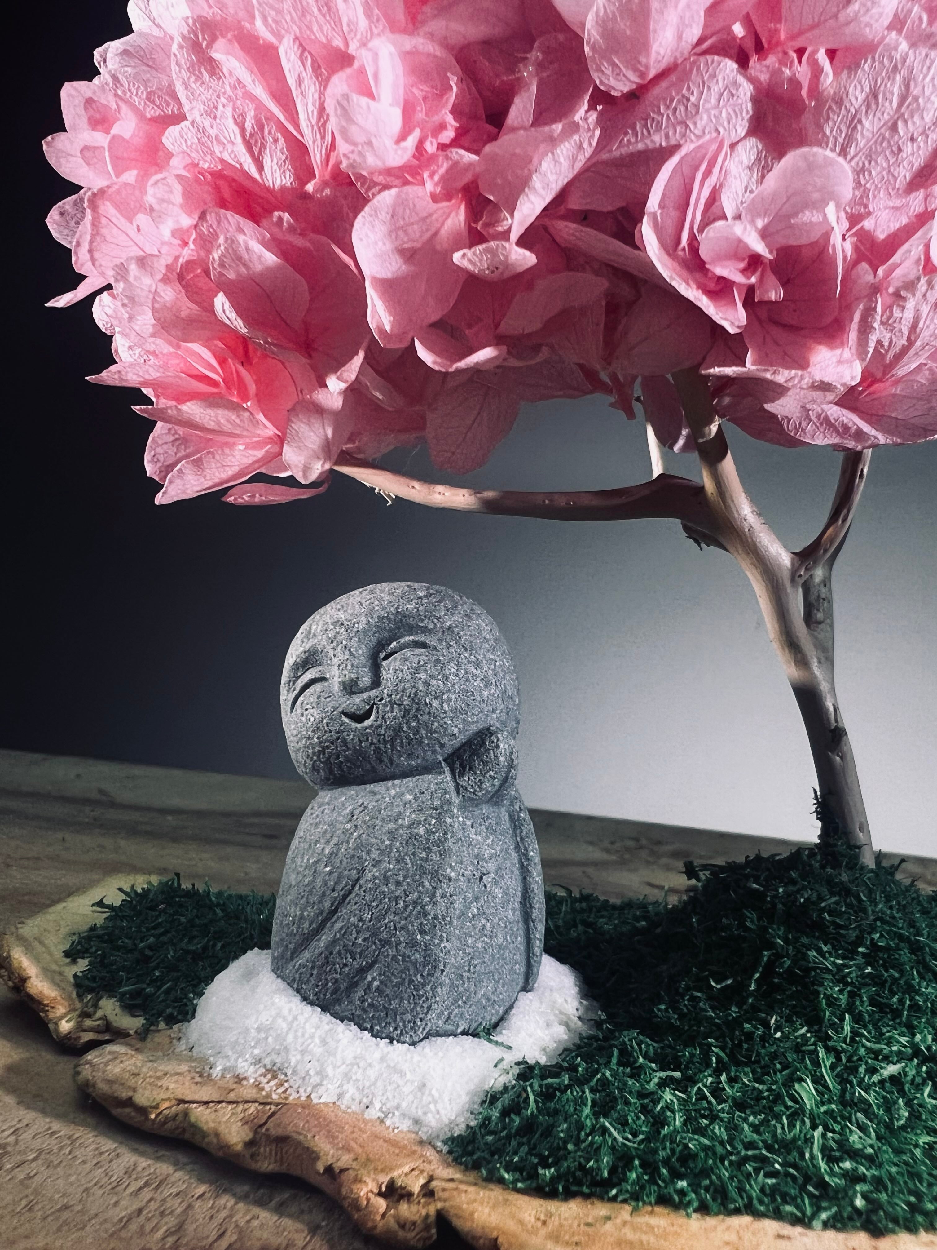 A Small Tree in the East - Sakura - Journeyman (Preserved Plants)