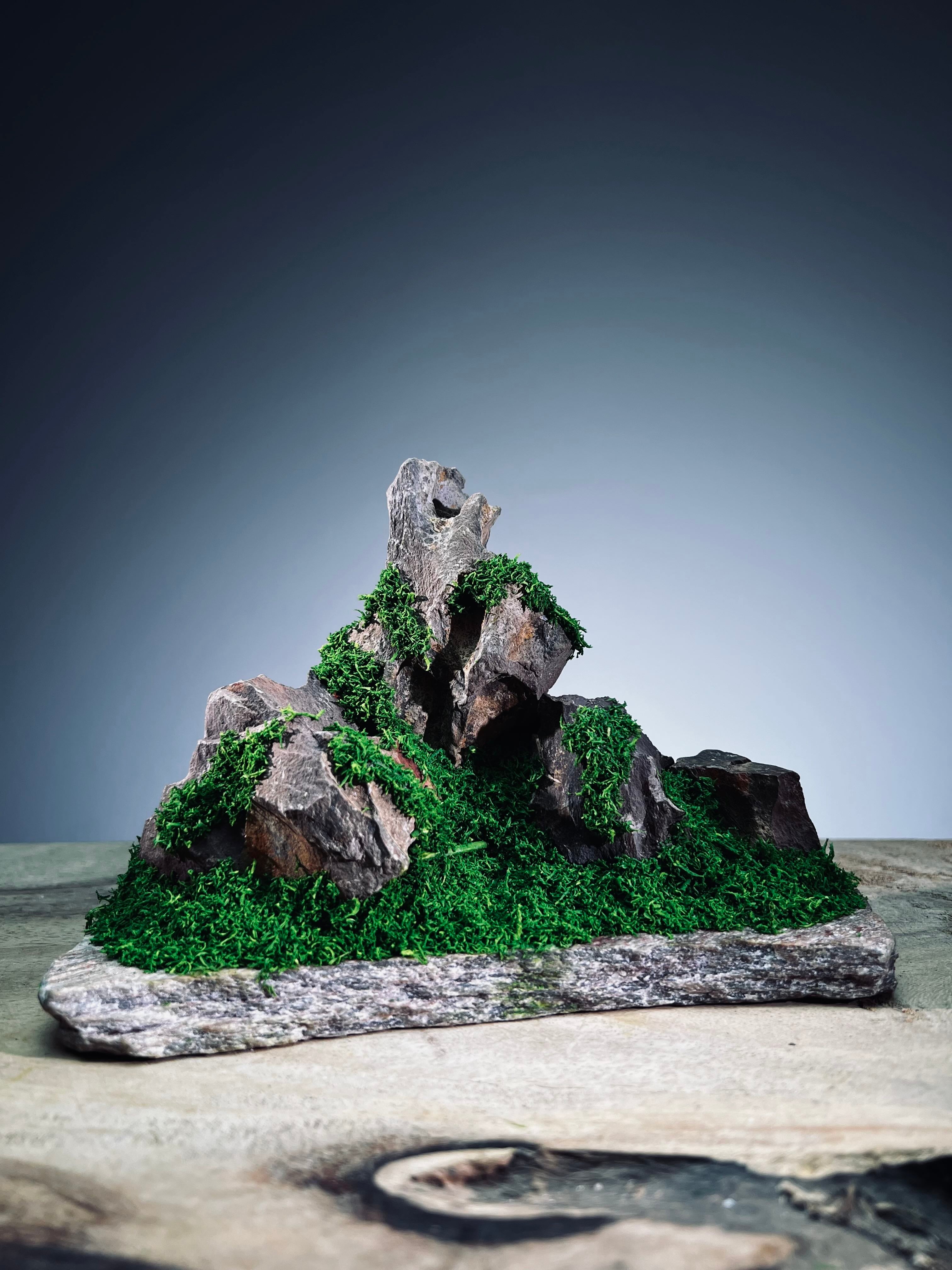 Angel's Landing - Small version (Preserved Plants)