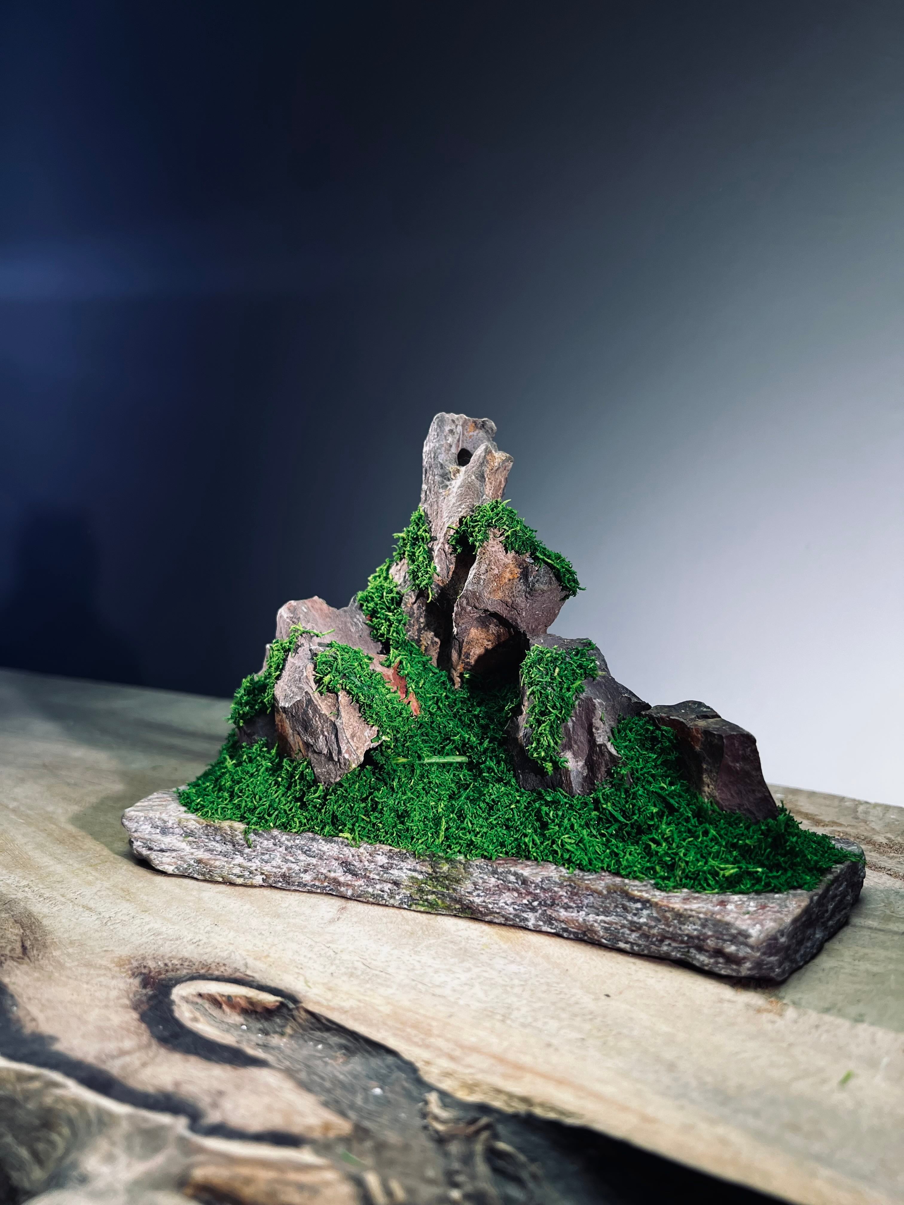 Angel's Landing - Small version (Preserved Plants)