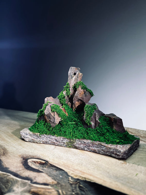 Angel's Landing - Small version (Preserved Plants)