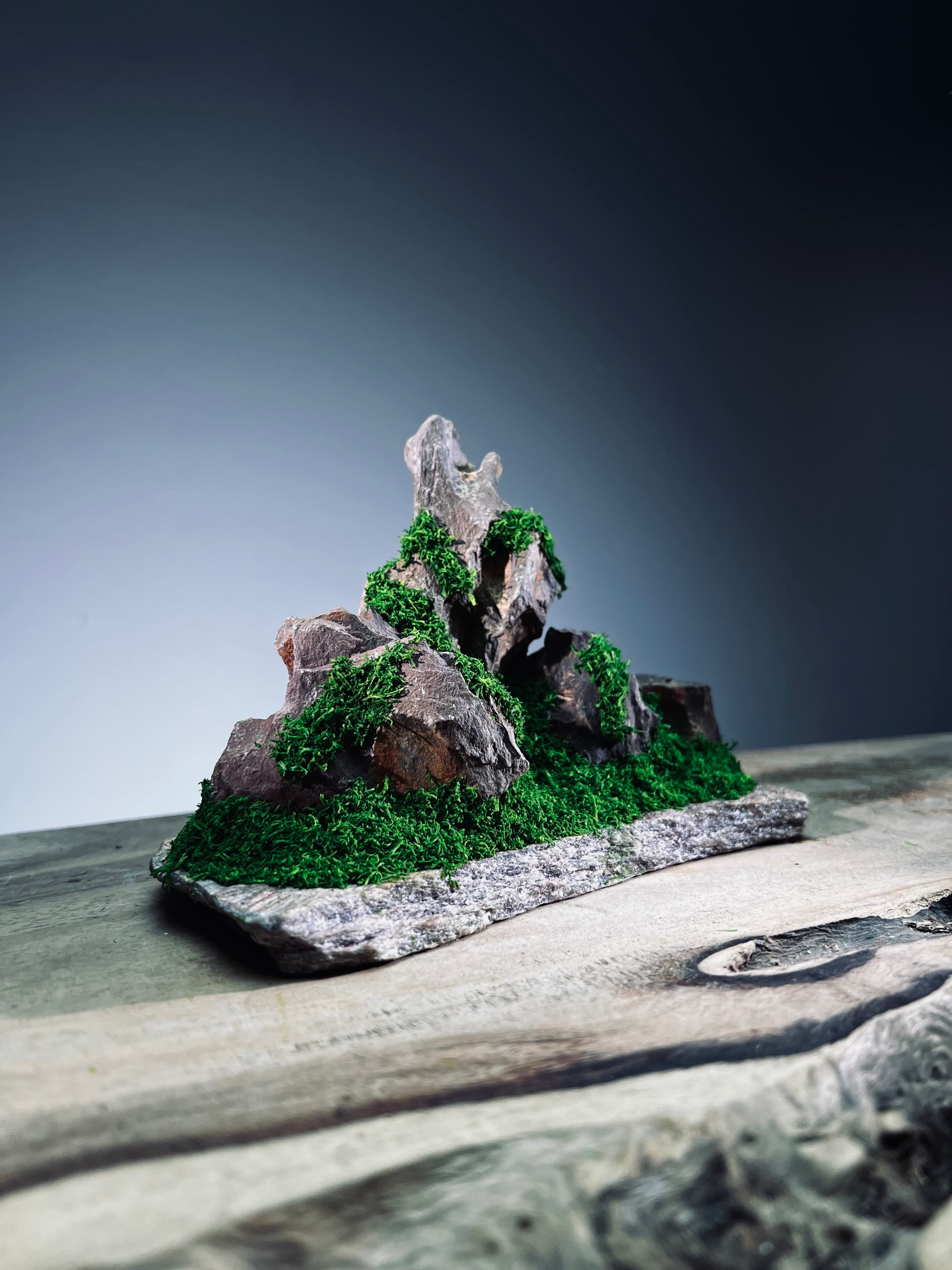 Angel's Landing - Small version (Preserved Plants)