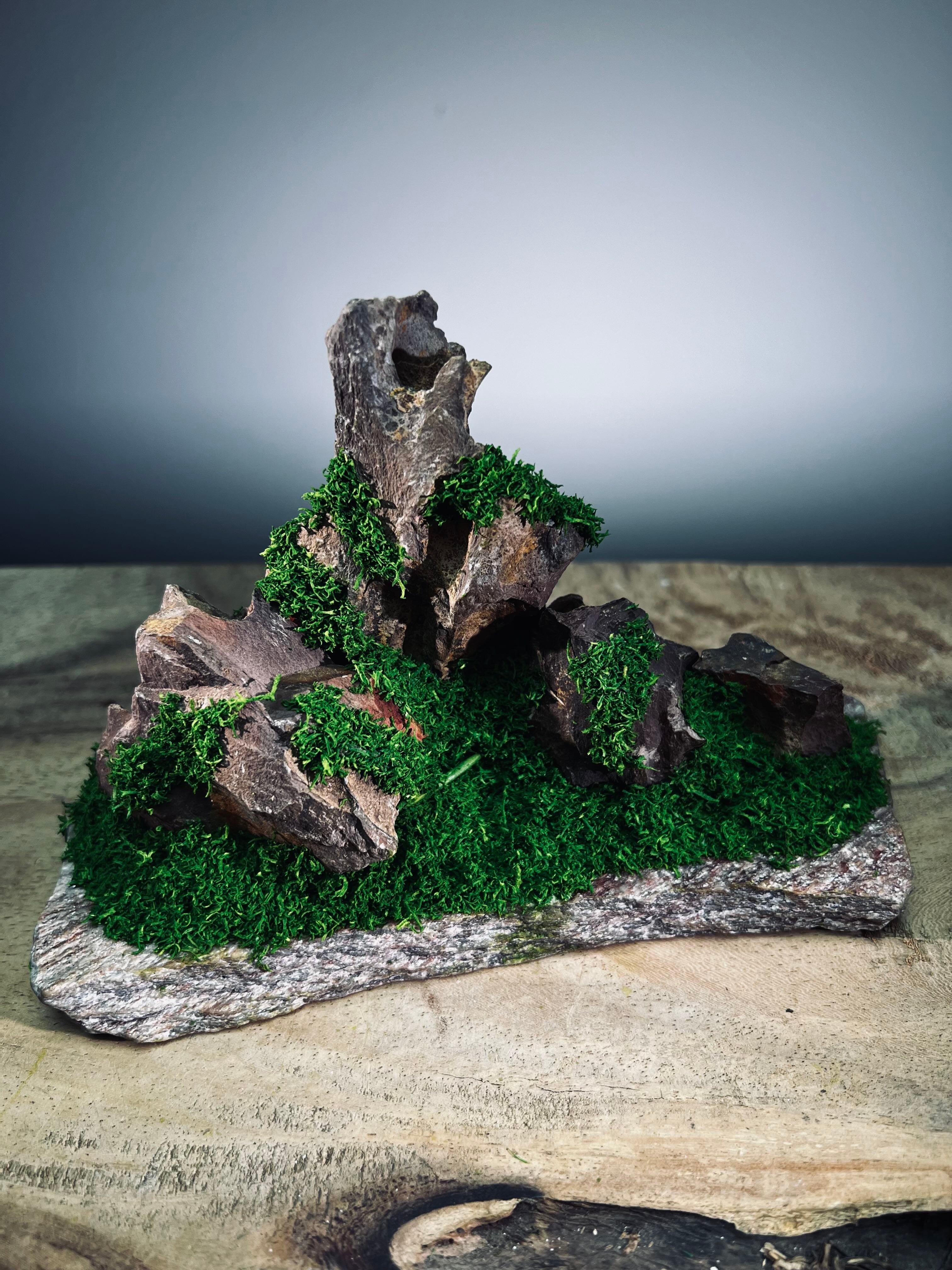 Angel's Landing - Small version (Preserved Plants)