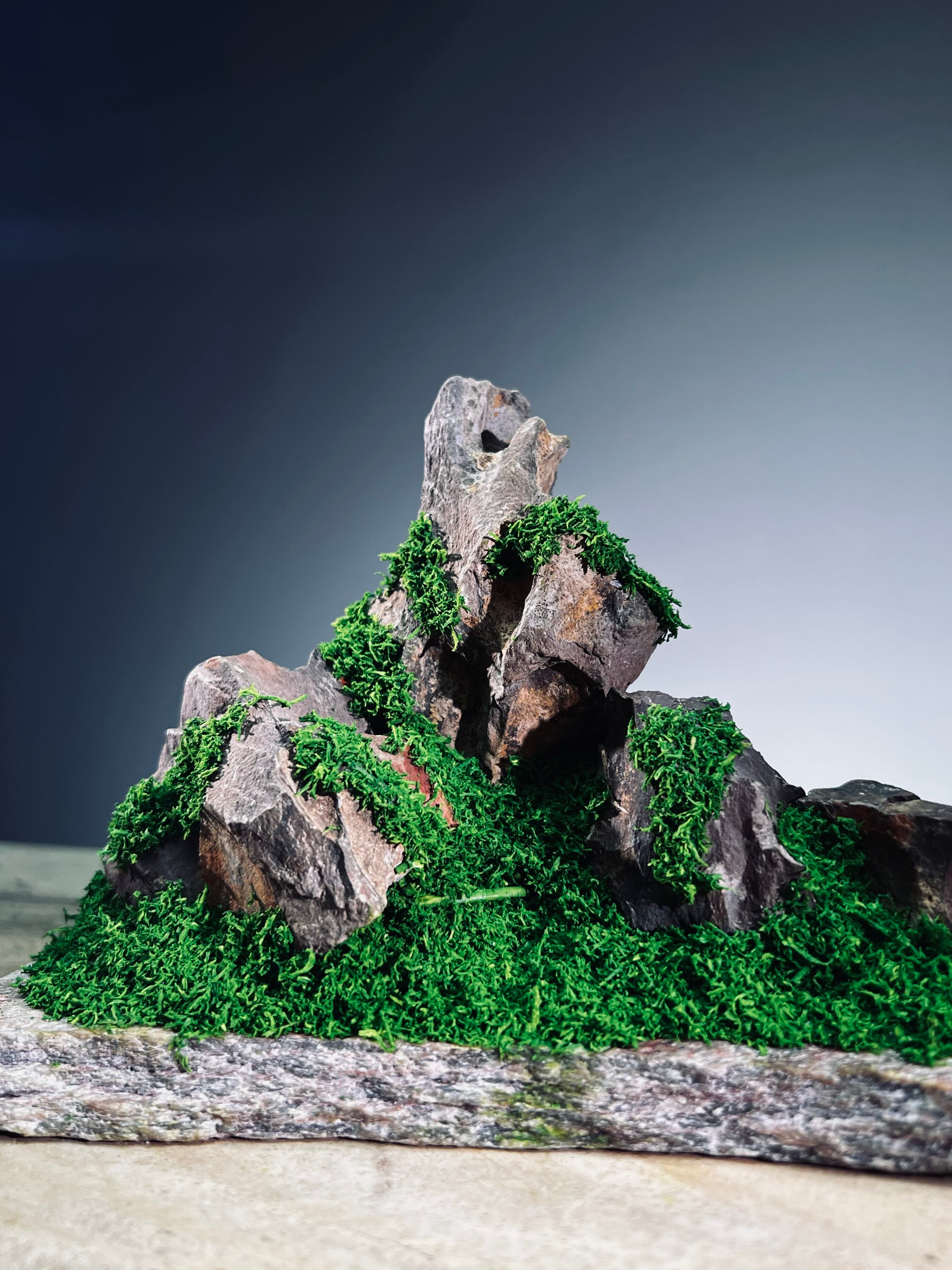 Angel's Landing - Small version (Preserved Plants)