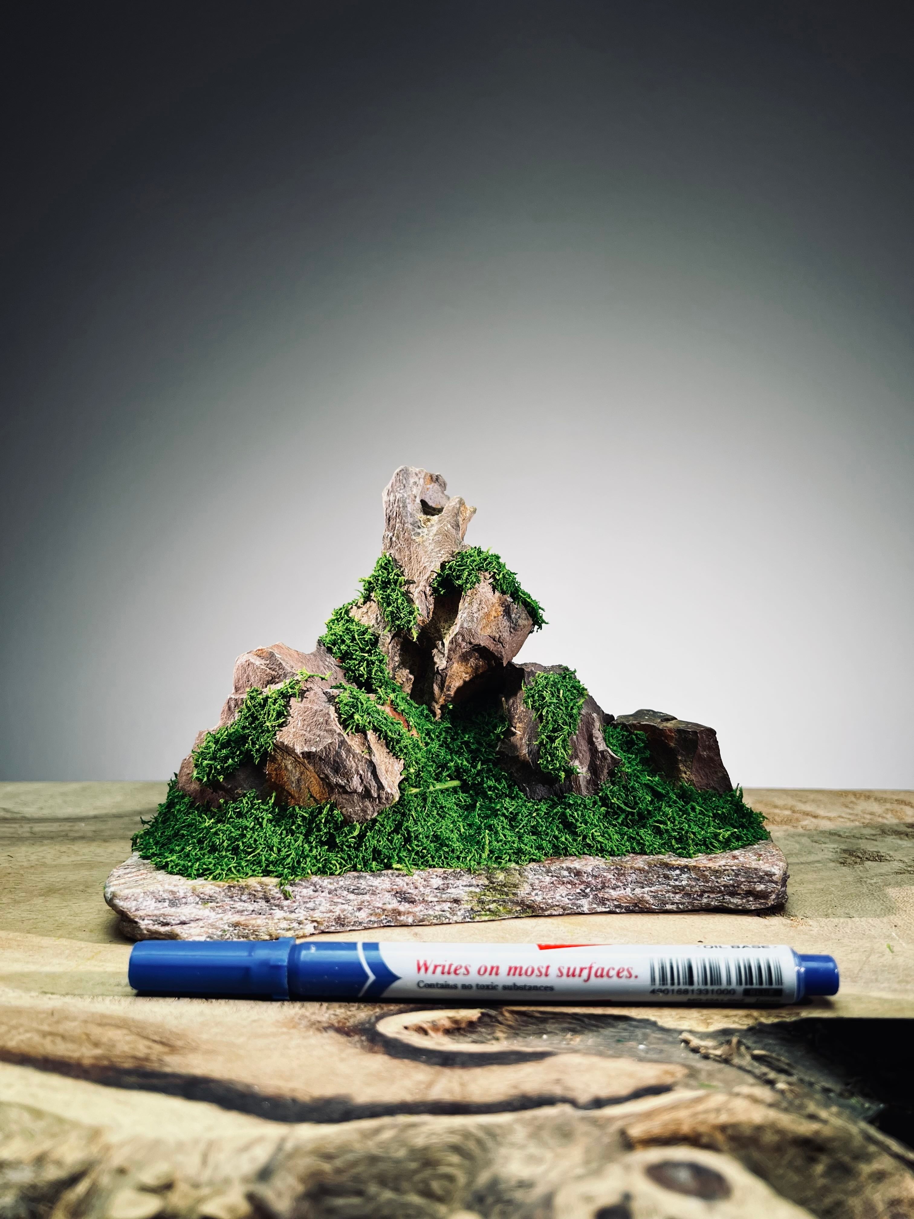 Angel's Landing - Small version (Preserved Plants)
