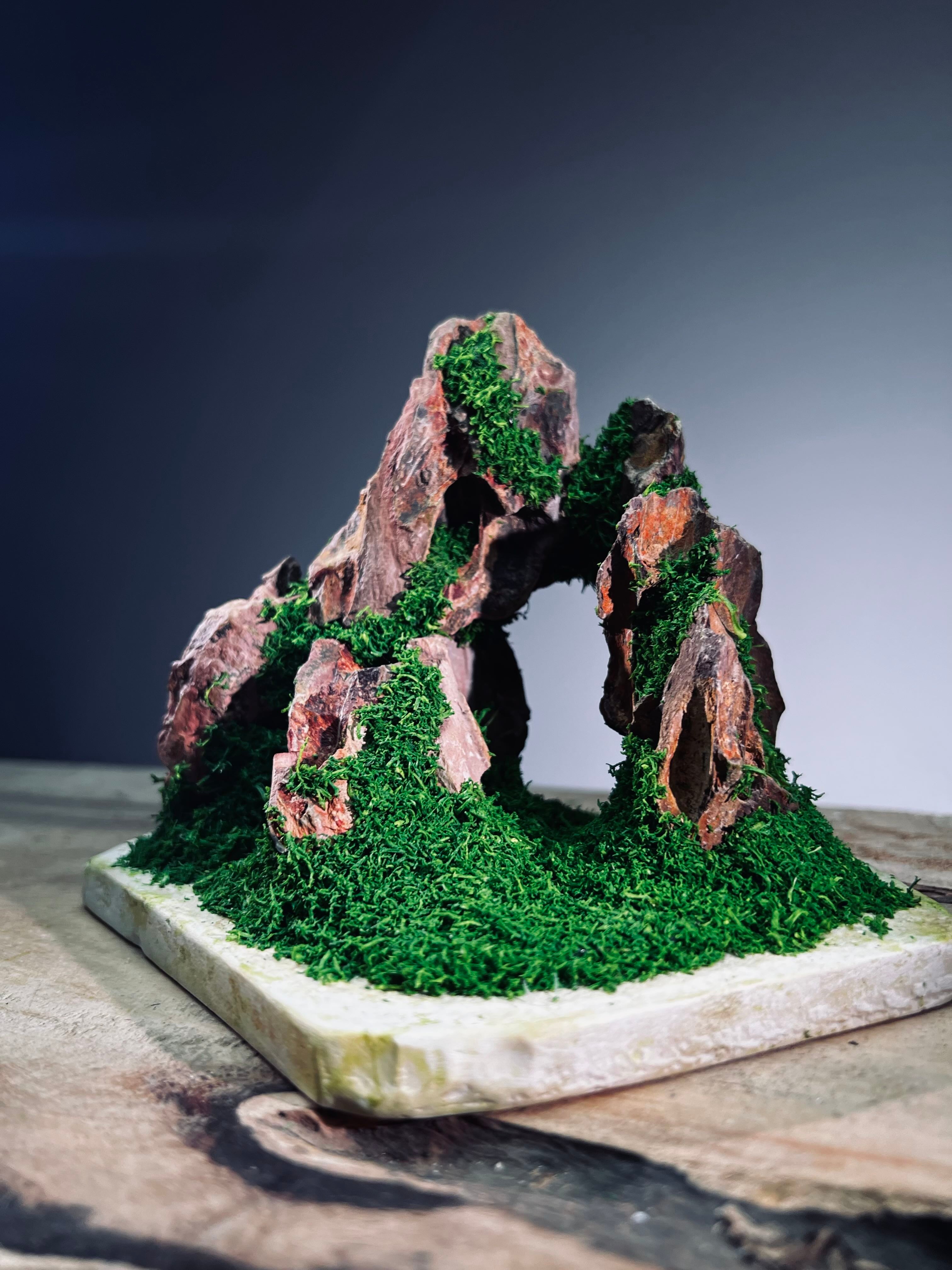 Angel's Landing - Small version (Preserved Plants)