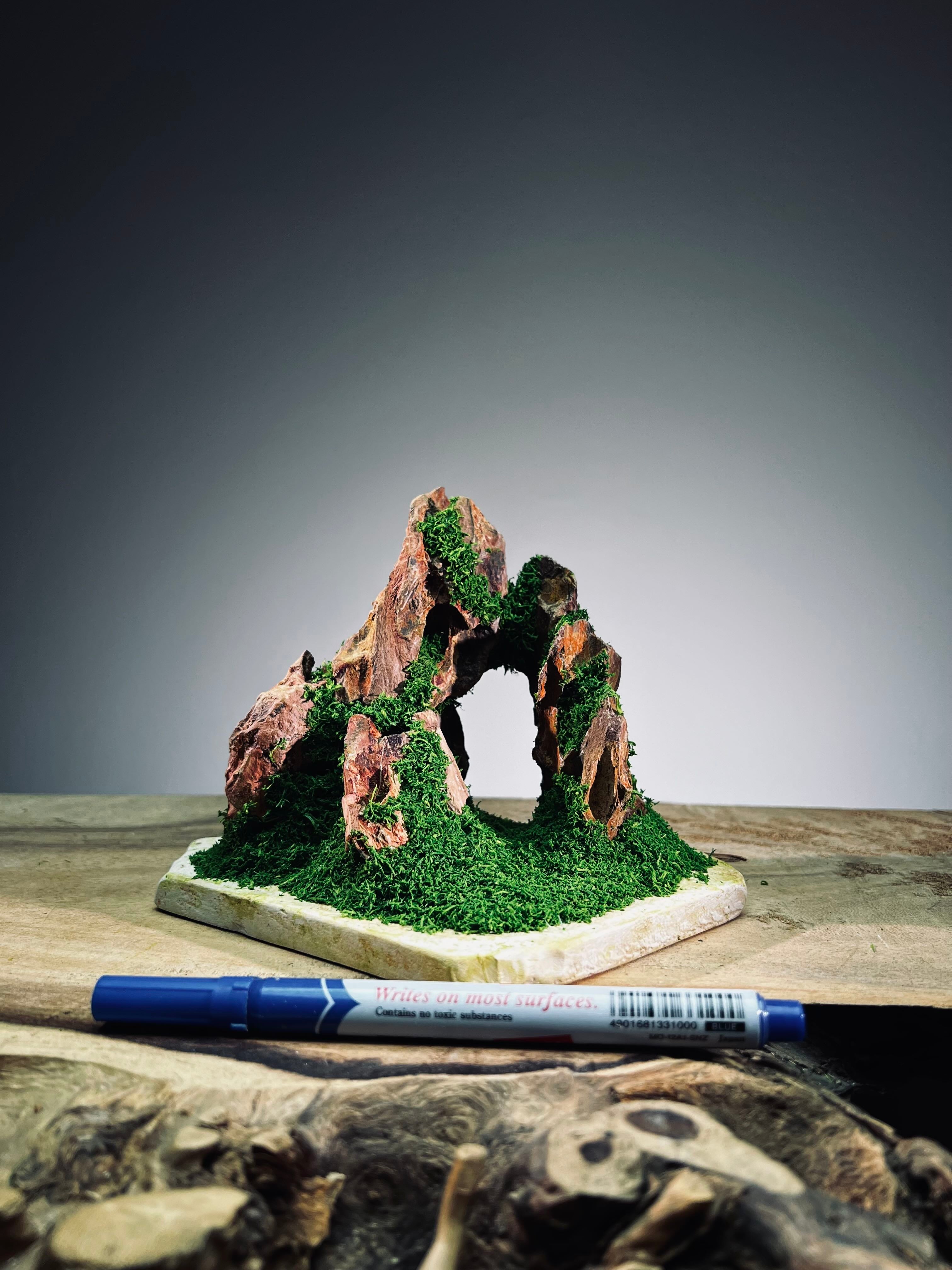 Angel's Landing - Small version (Preserved Plants)