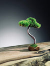 A Small Tree in the East - Classics - Rosewood edition (Preserved Plants)