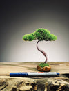 A Small Tree in the East - Classics - Rosewood edition (Preserved Plants)