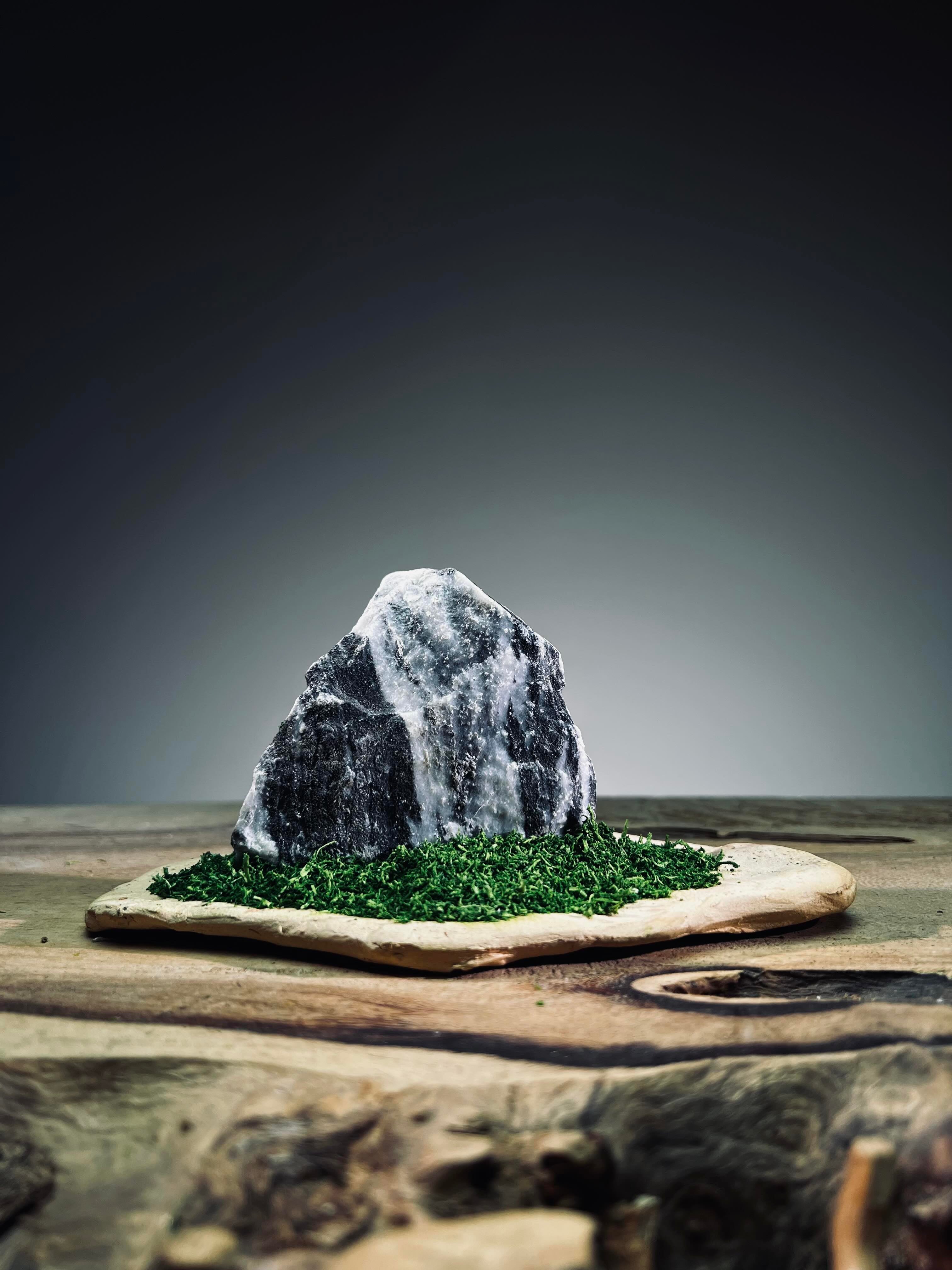 Slow Stone - Freshman (Preserved Plants)