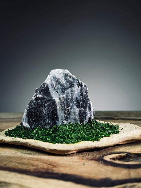 Slow Stone - Freshman (Preserved Plants)