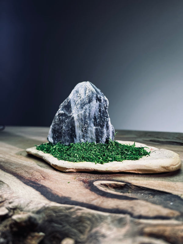 Slow Stone - Freshman (Preserved Plants)