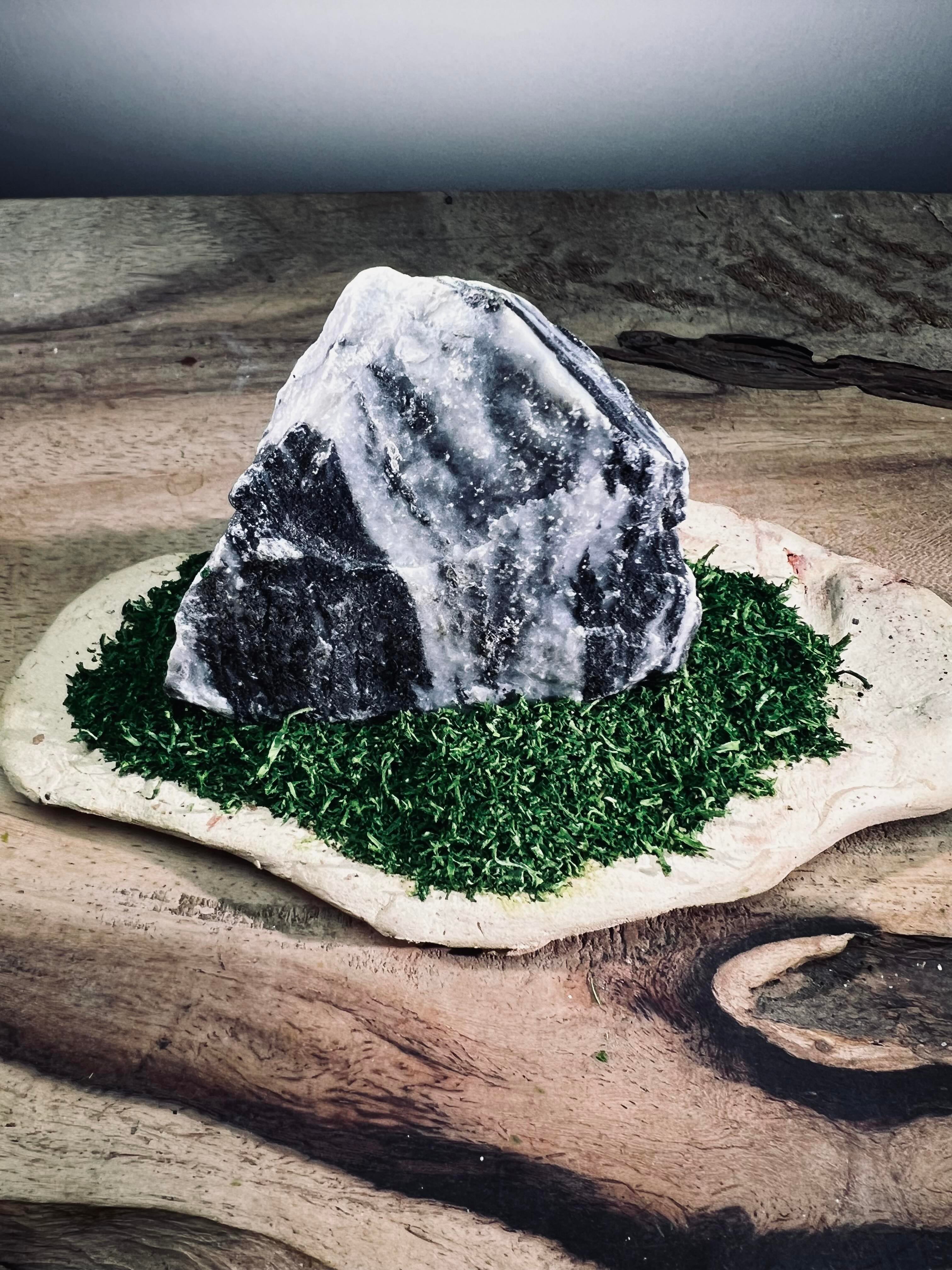 Slow Stone - Freshman (Preserved Plants)