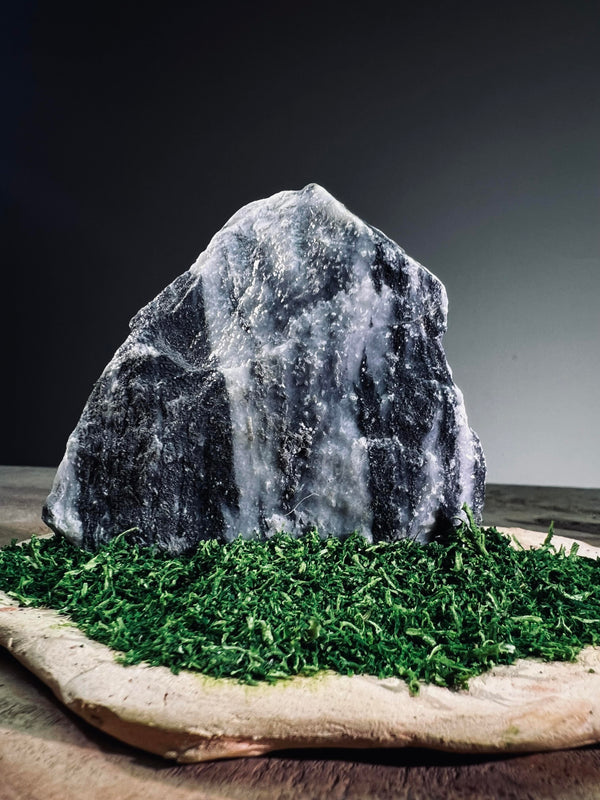 Slow Stone - Freshman (Preserved Plants)